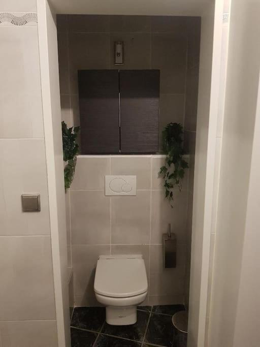 Appartement Cosy Entierement Equipe Toulouse